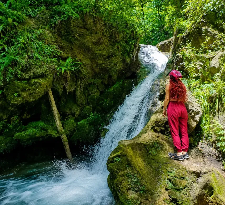Հաղարծին