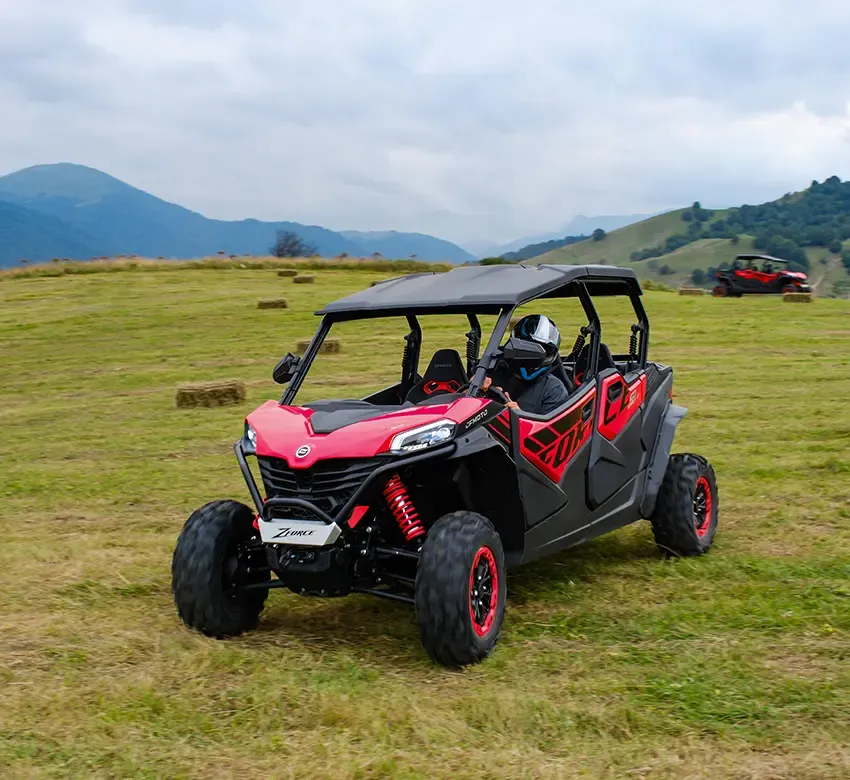 buggy