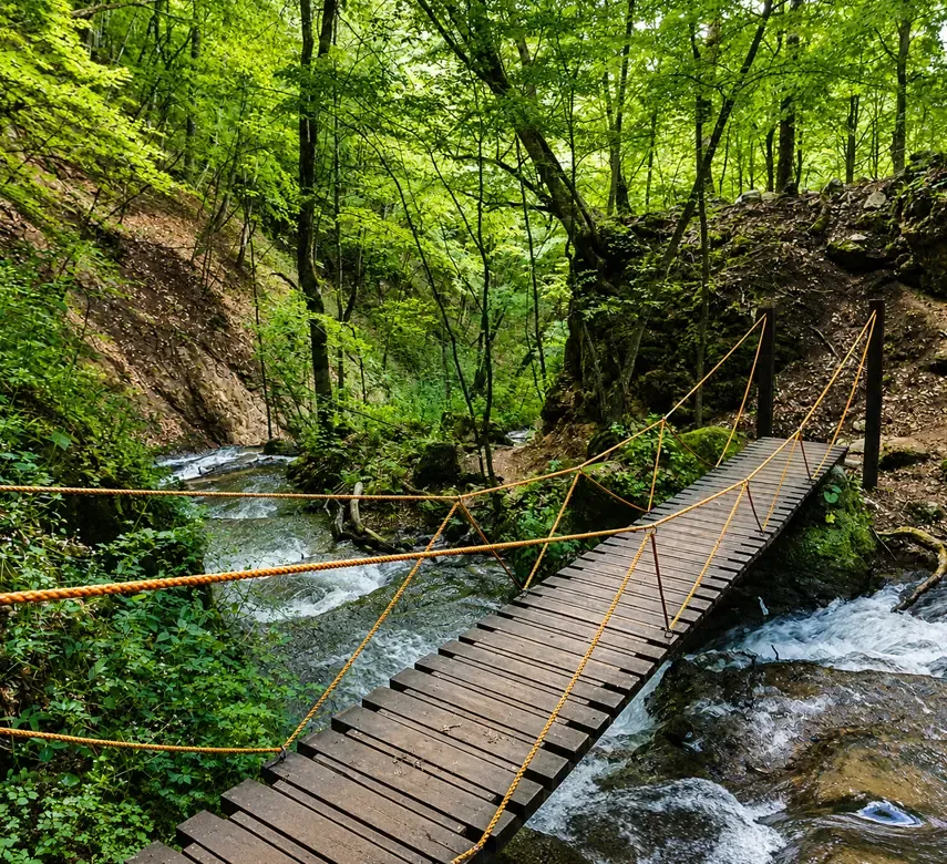 Ջրվեժ